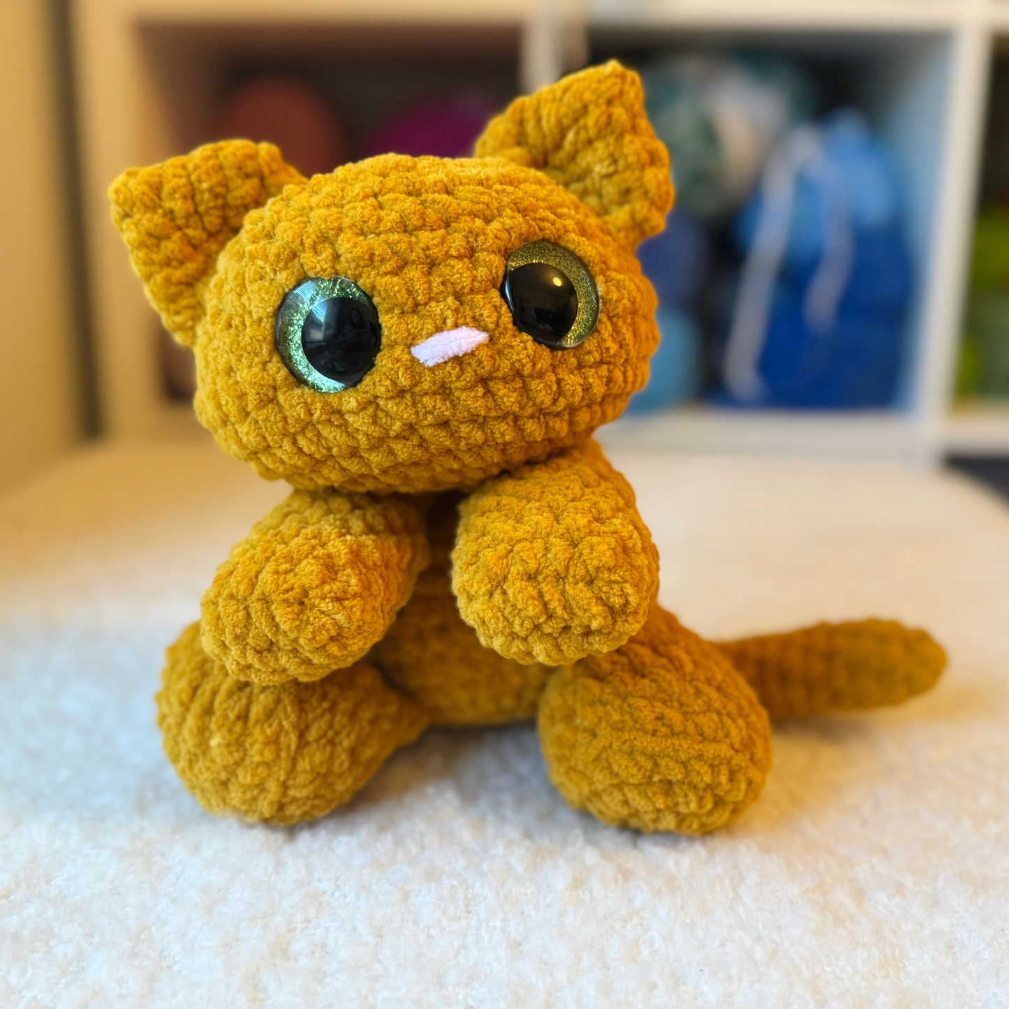 Cookie the Cat