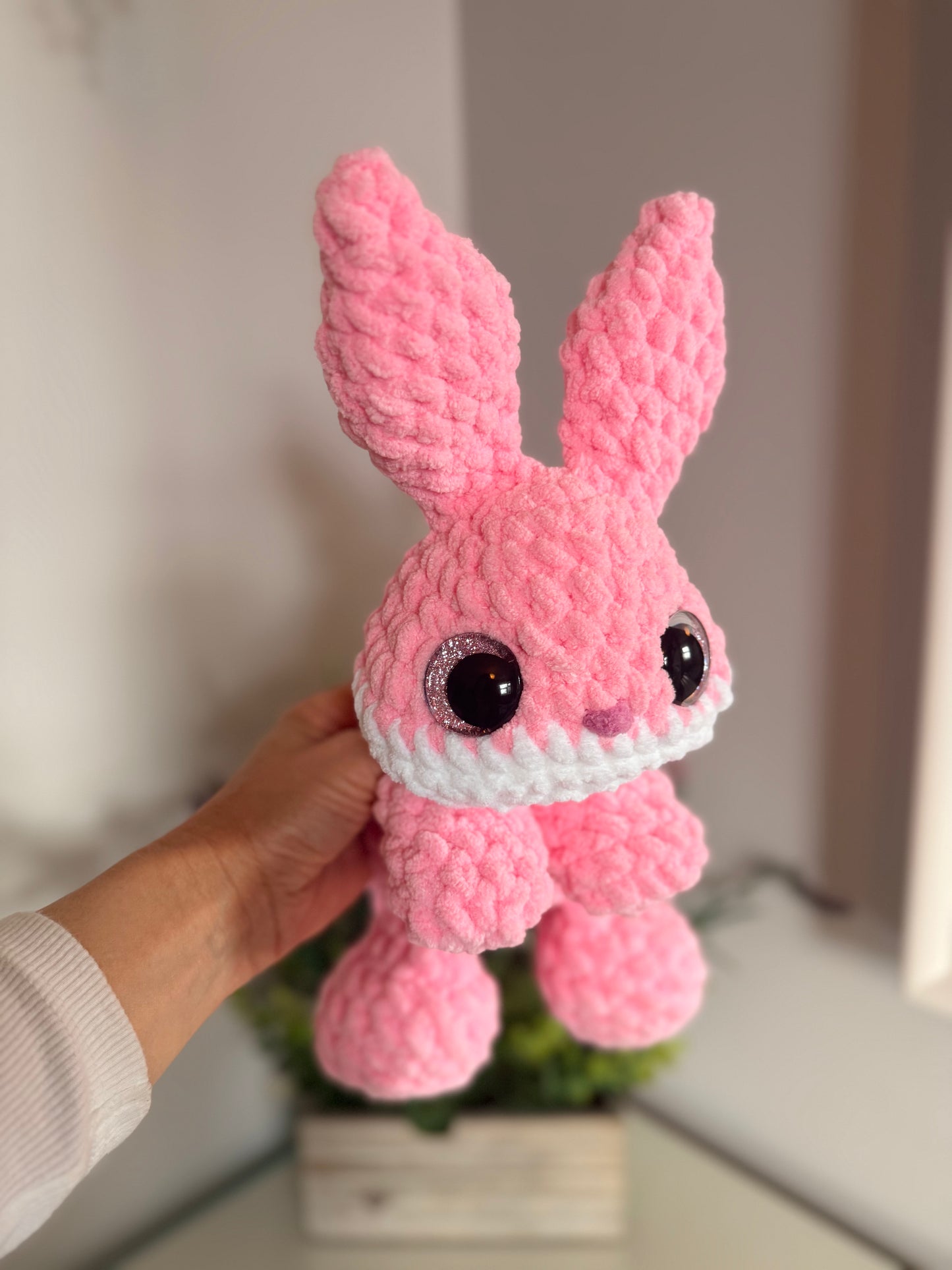 Beans the Bunny