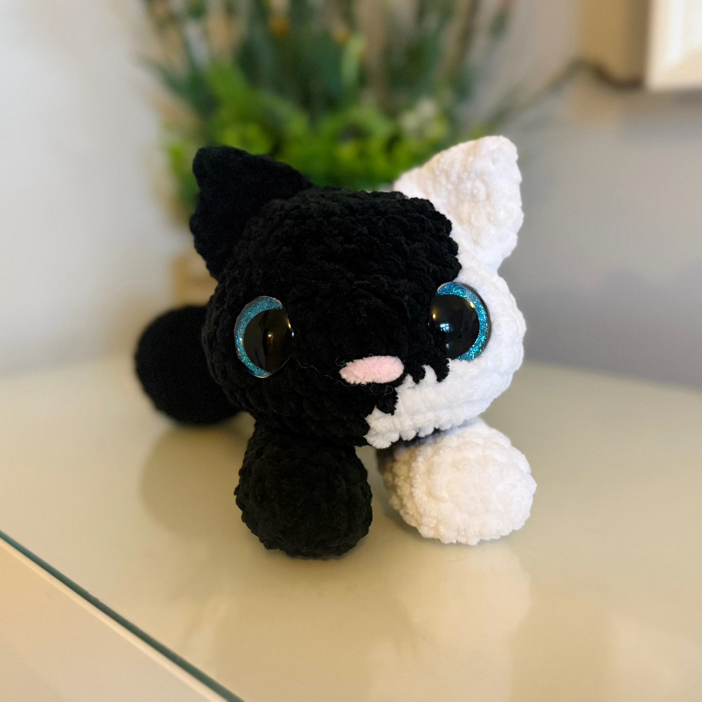 Cookie the Cat