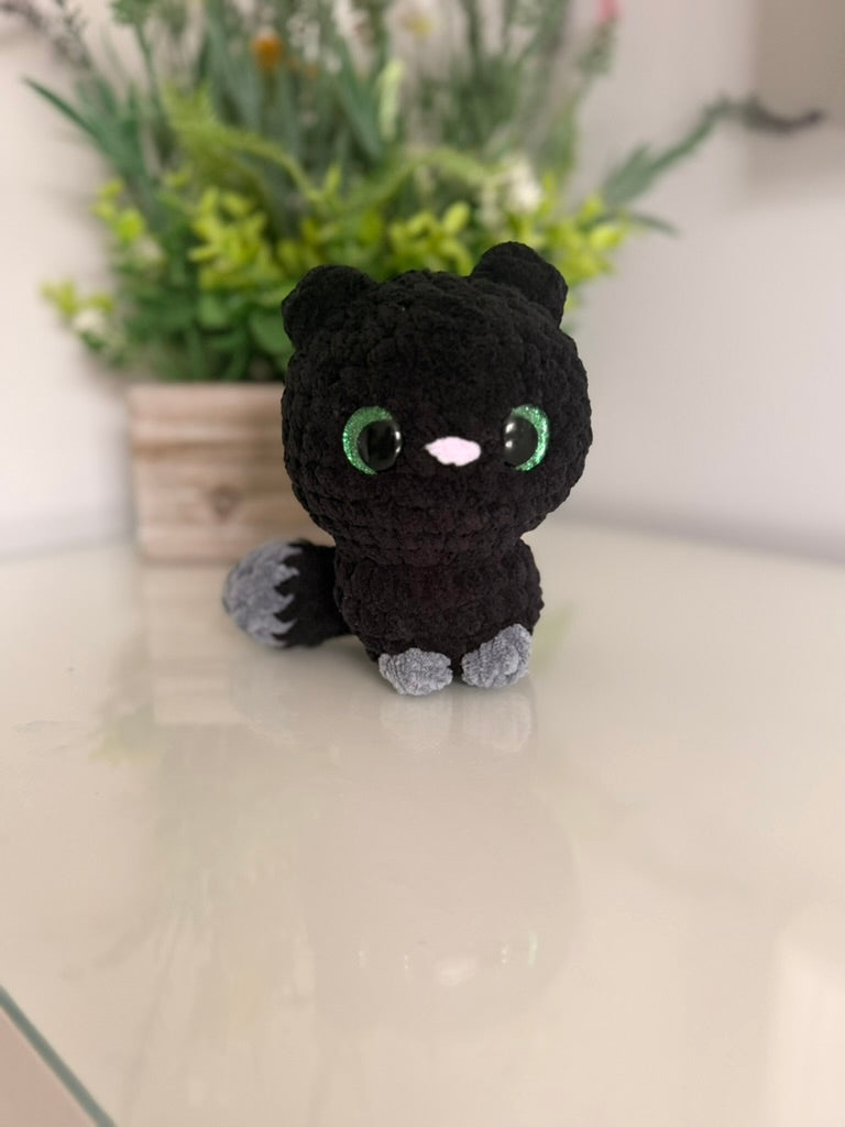 Midnight the Cat