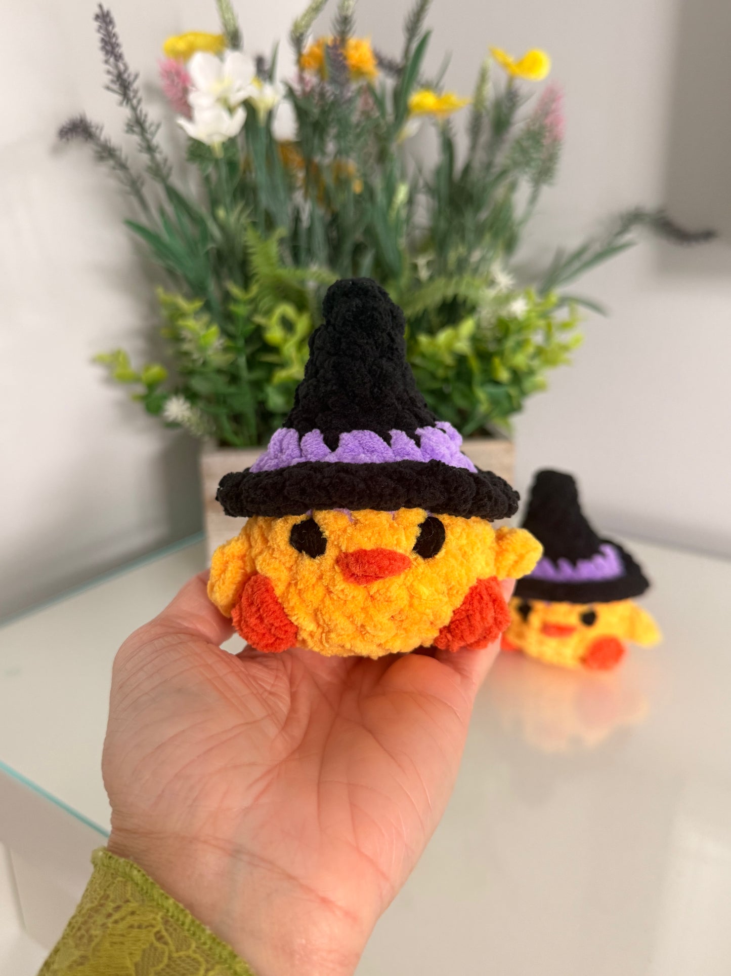 Witch Duck