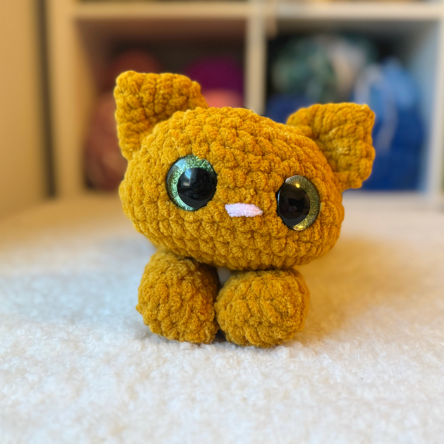 Cookie the Cat