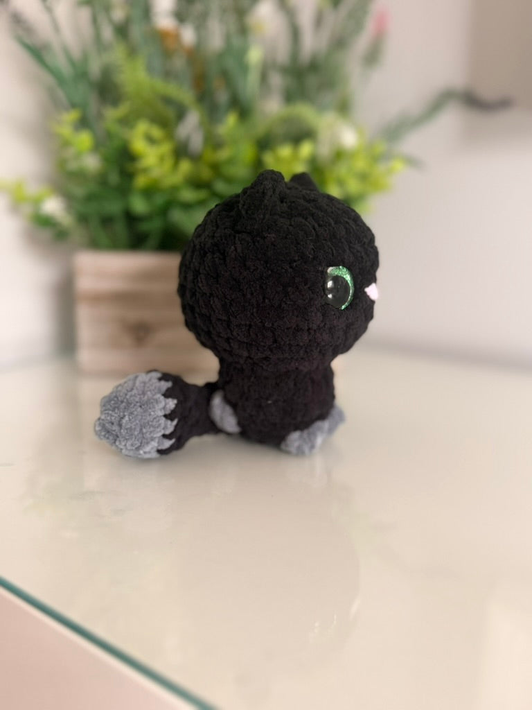 Midnight the Cat
