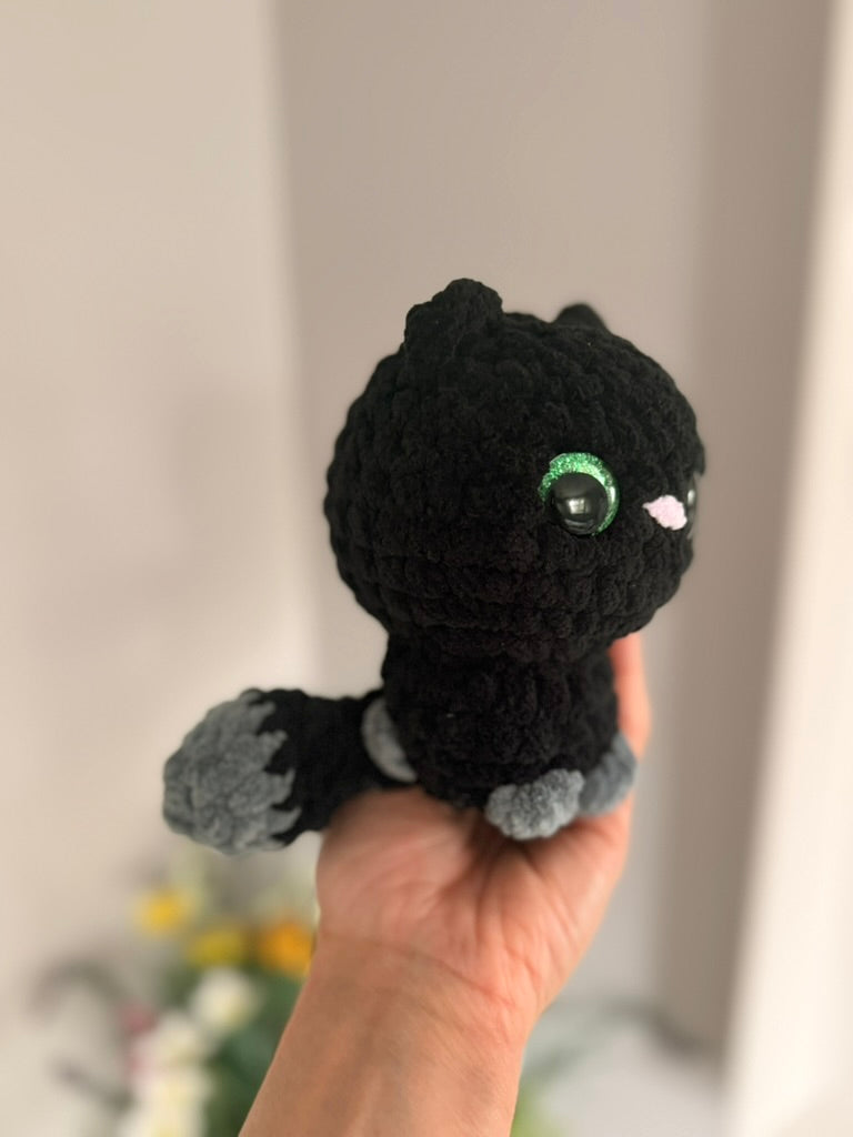 Midnight the Cat