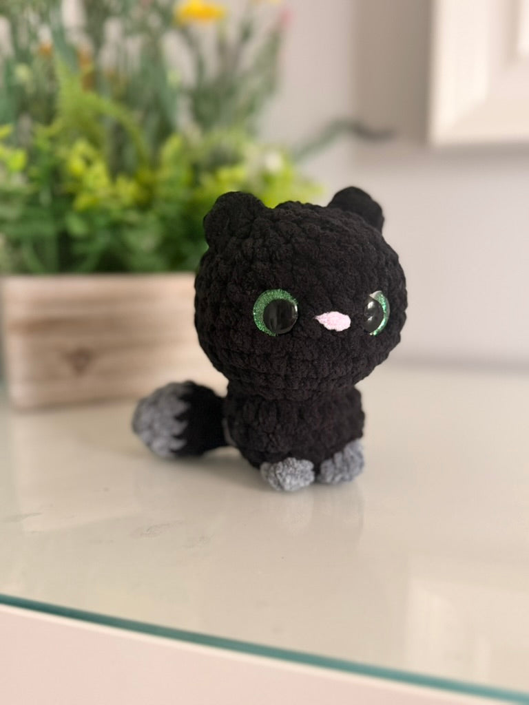 Midnight the Cat