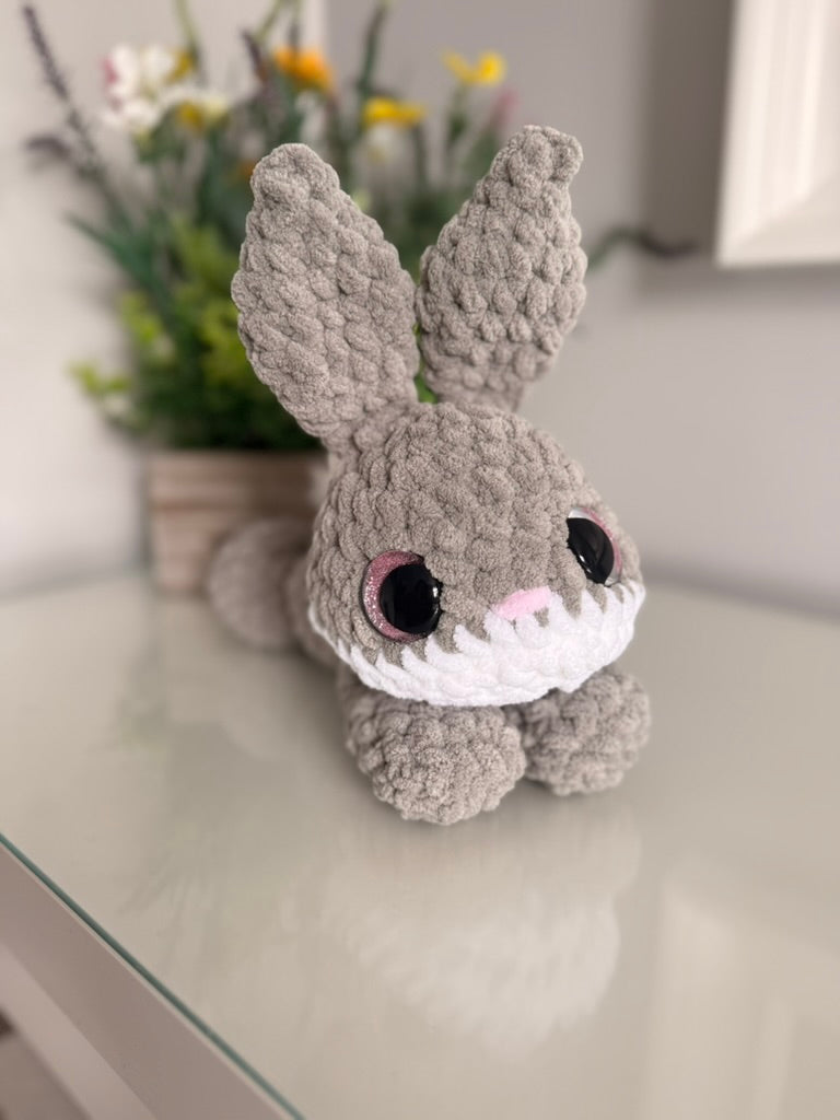 Beans the Bunny