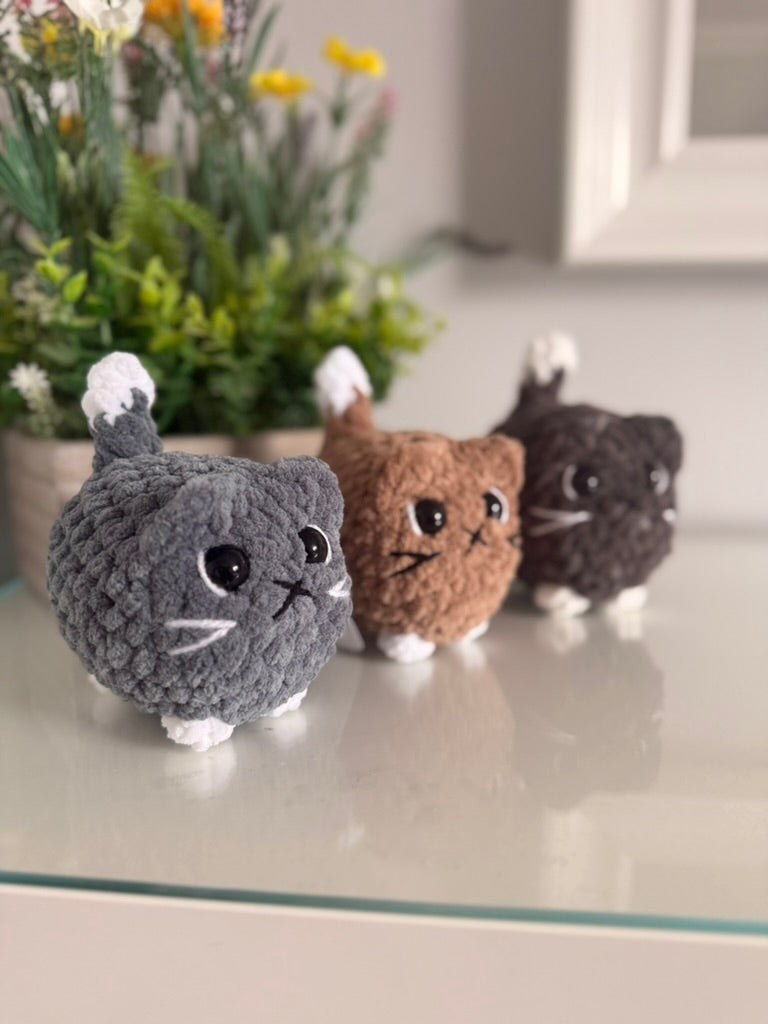 Chubby Kittens