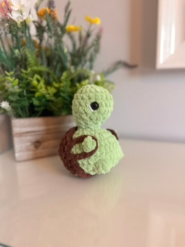 Cheeky Turtle