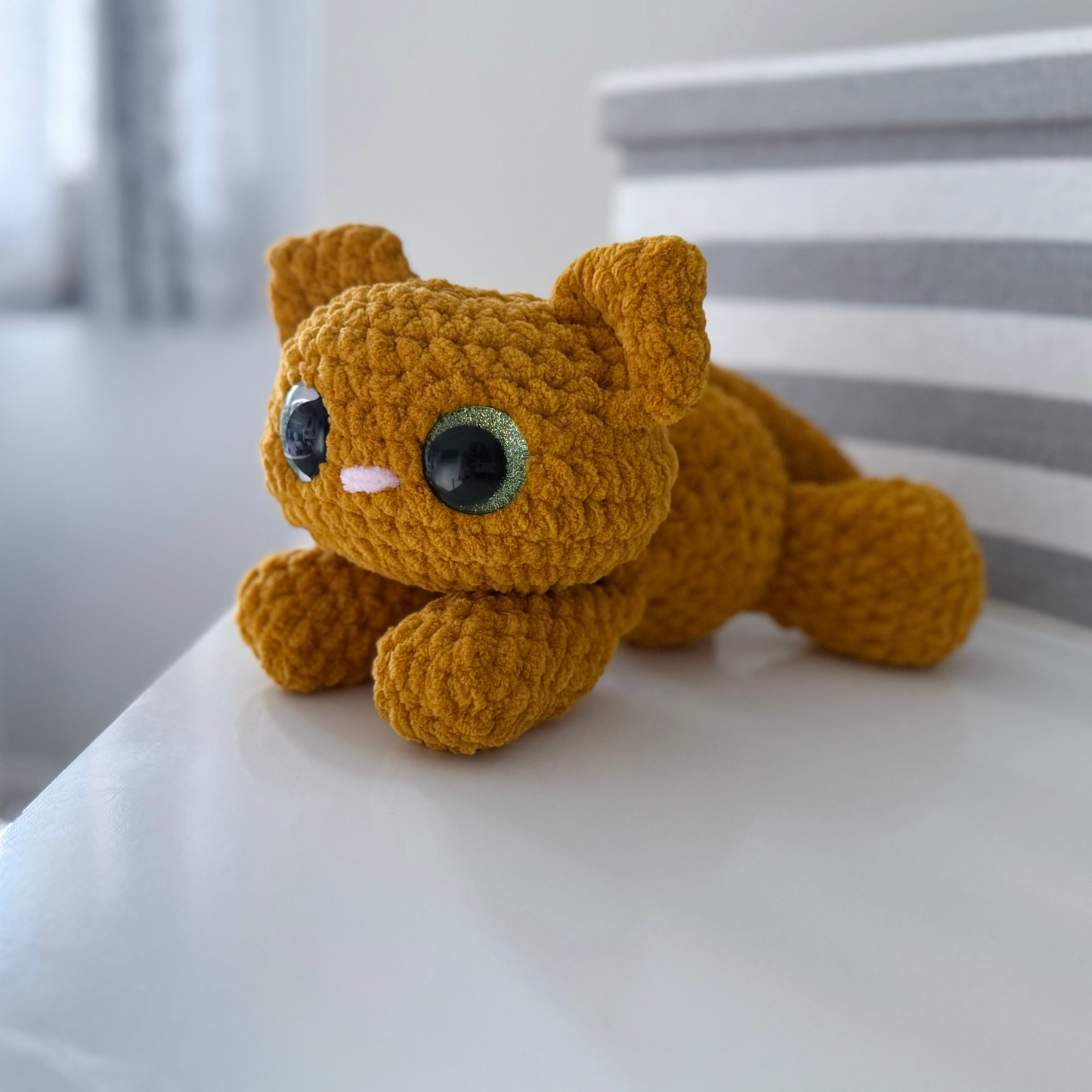 Cookie the Cat