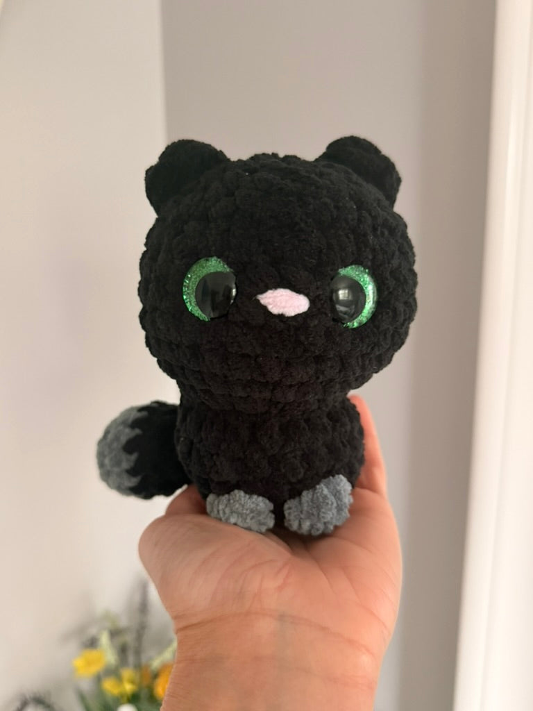 Midnight the Cat