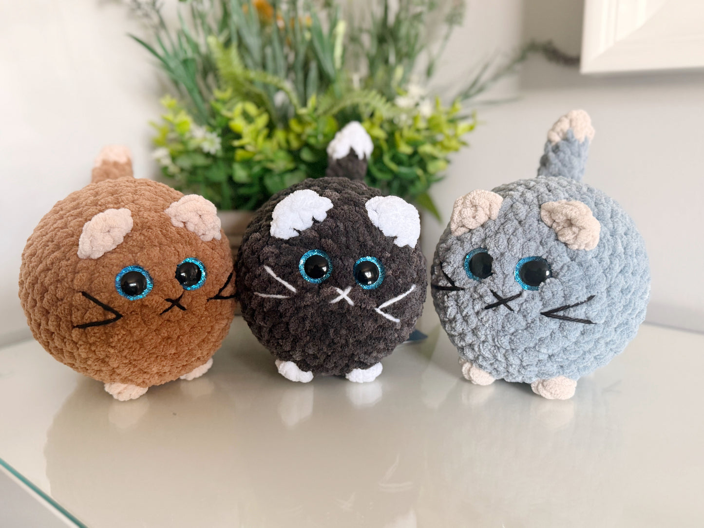 Chubby Cats