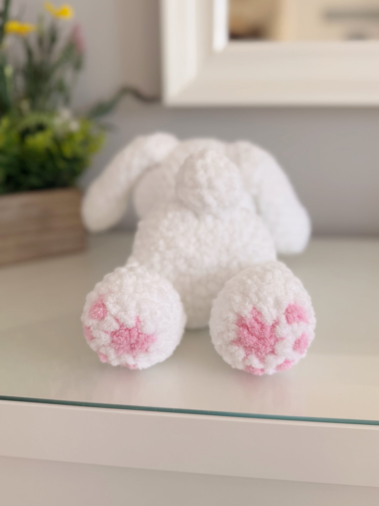 Beans the Bunny