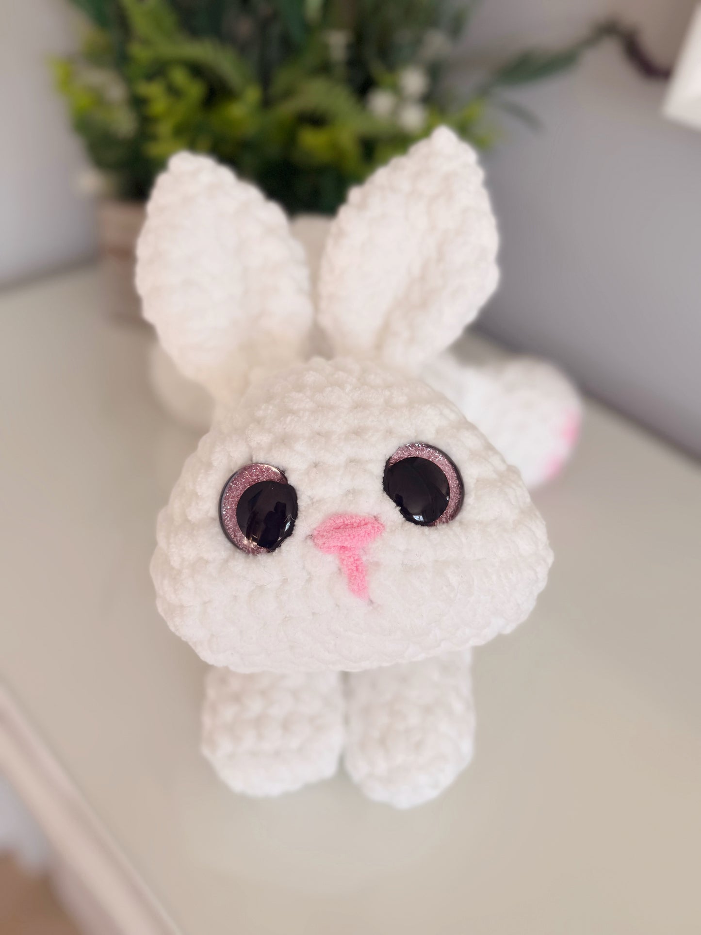 Beans the Bunny