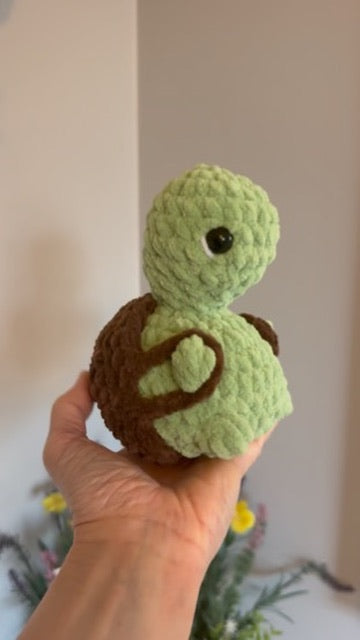 Cheeky Turtle