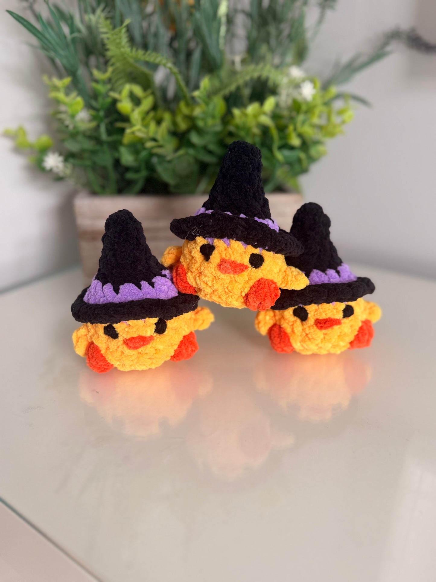 Witch Duck