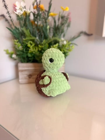 Cheeky Turtle