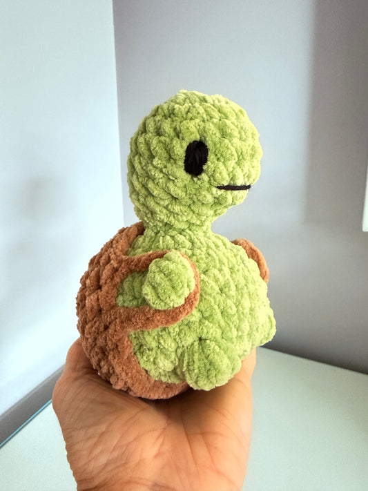 Cheeky Turtle