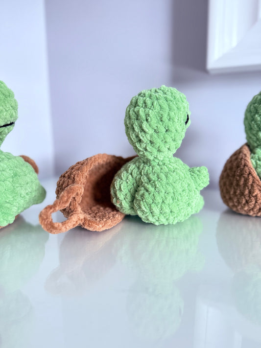 Cheeky Turtle
