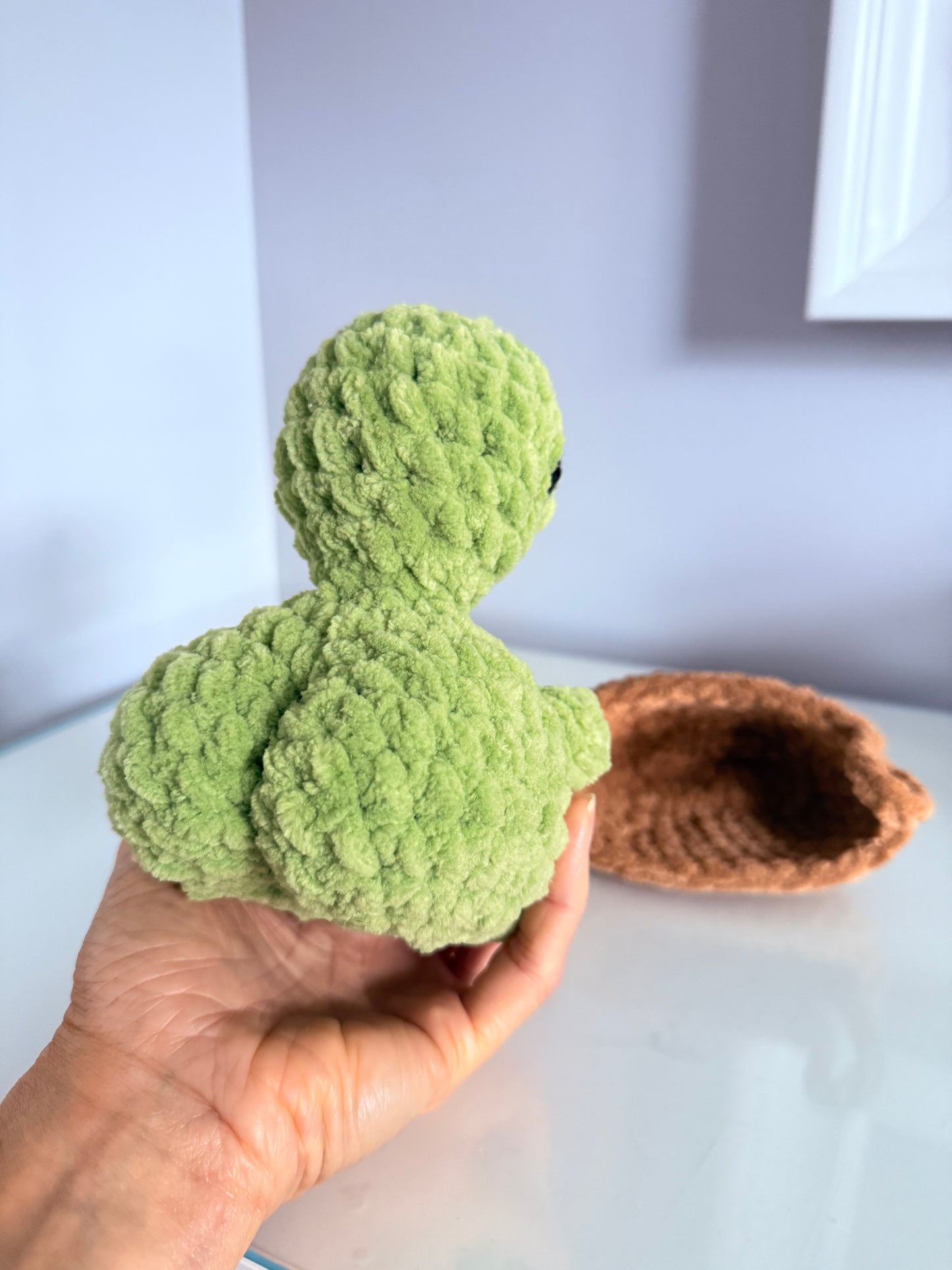 Cheeky Turtle