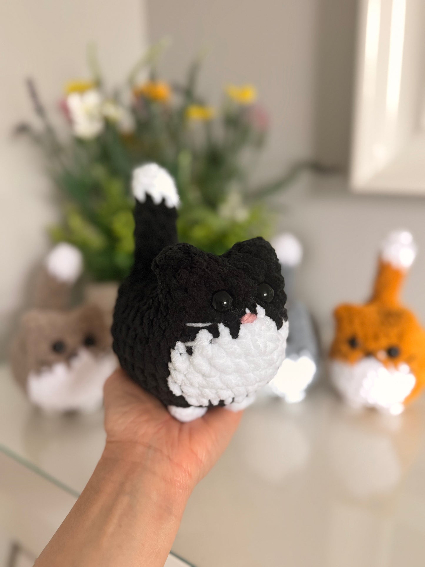 Momo the Cat