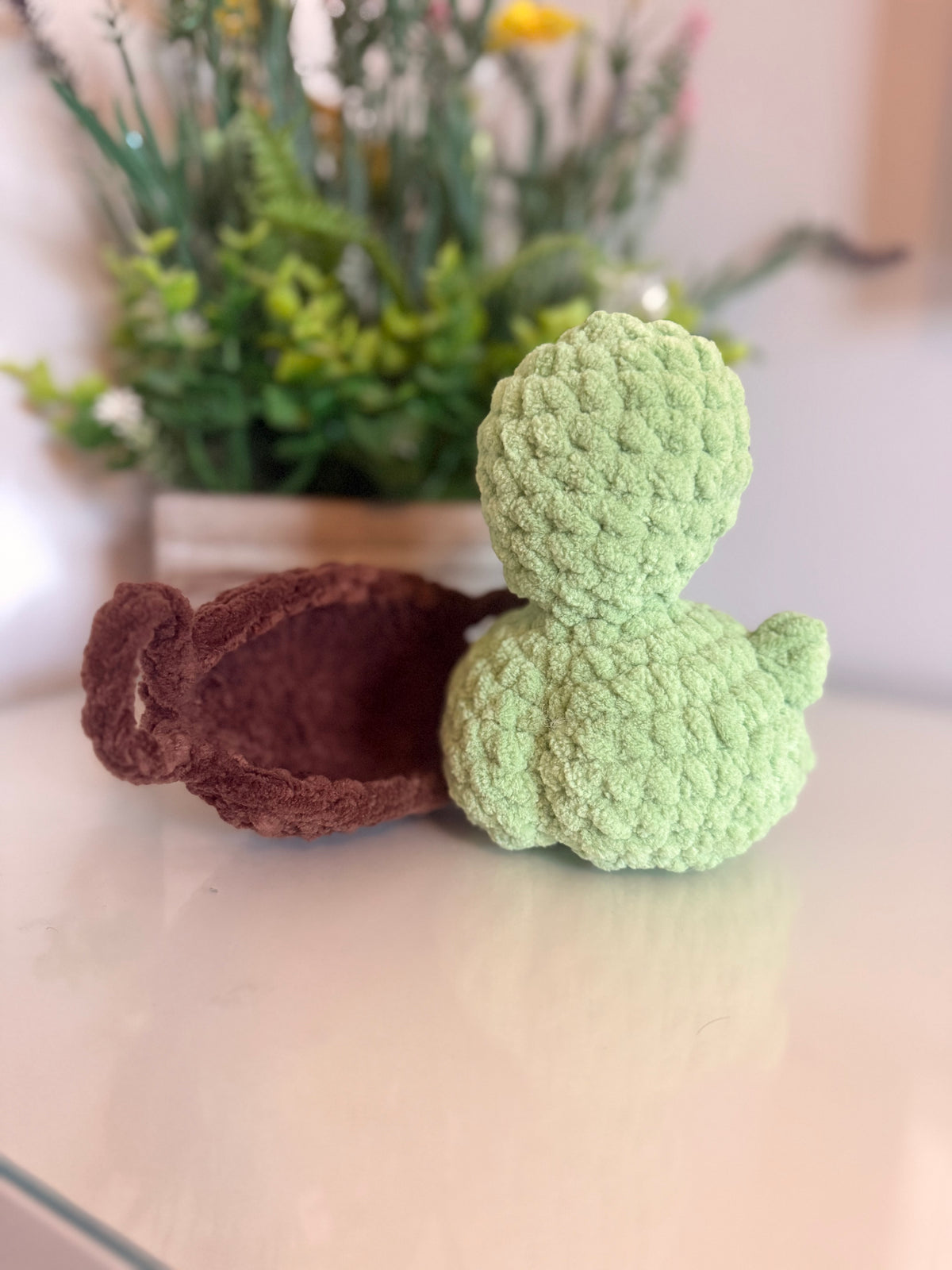 Cheeky Turtle